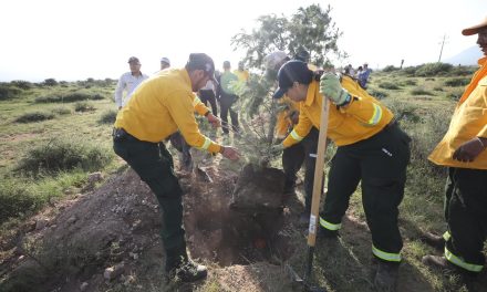 Coahuila fortalece las acciones para la restauración y protección de ecosistemas