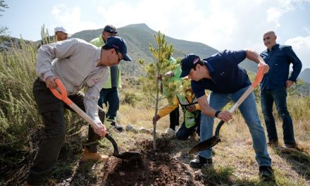 Reforestarán Municipio y RIC Energy 5 mil pinos en el Cañón de San Lorenzo