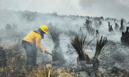 Arteaga registra más conatos de incendio pero logra contenerlos a tiempo