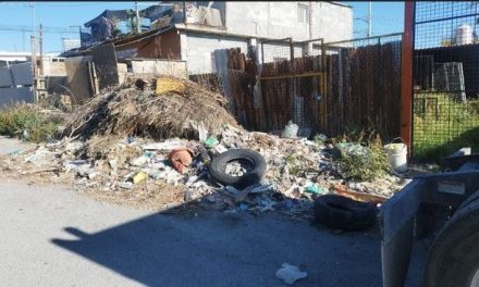 Saltillo: Vecinos de Ampliación Mirador se quejan de ‘cochinones’
