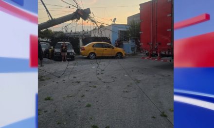 Camión causa destrozos en la colonia Analco en Ramos Arizpe