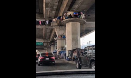 Ingenio y supervivencia en California: Se viraliza peculiar vivienda improvisada bajo un puente en Los Ángeles