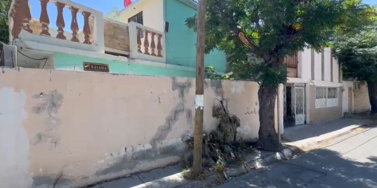 Cortan árbol y dejan residuos en banqueta de Saltillo