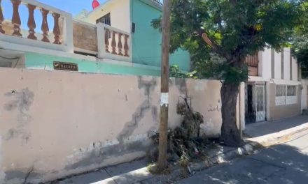 Cortan árbol y dejan residuos en banqueta de Saltillo