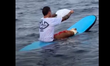 La emotiva despedida del surfista Diego Jiménez a su perro Thai conmueve a las redes sociales