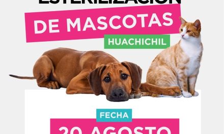 Arteaga impulsa esterilización de mascotas en distintas comunidades