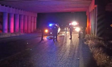 Hallan sin vida a joven atropellado sobre la carretera a Torreón