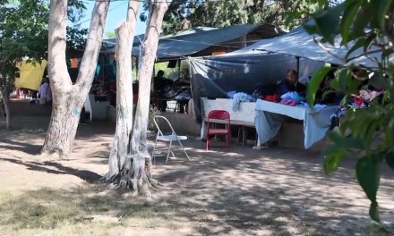 Invaden jardineras los comerciantes de la plaza de la Madre