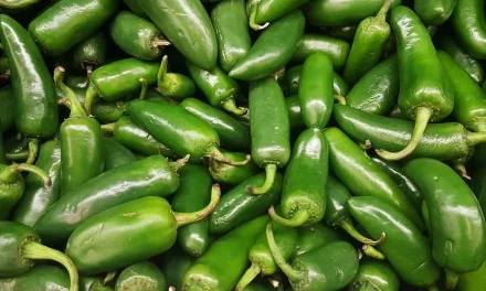 Alerta sanitaria por brote de salmonela en Estados Unidos vinculado a chiles jalapeños importados de México
