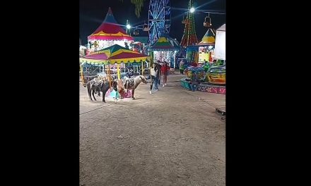 Mujer golpea sin razón a un pequeño pony en la cabeza en feria de San Luis Potosí (video)