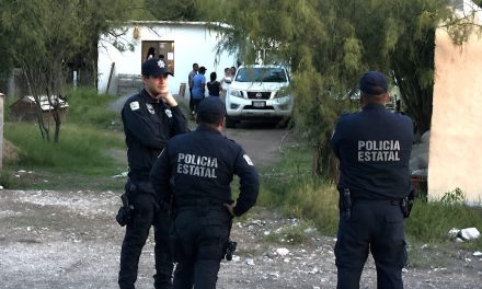 Rescatan a 63 perros en cateo a Fundación Frichem de Castaños y clausuran el lugar