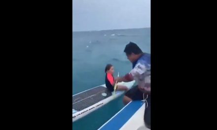 Heroico rescate en La Paz: Pescadores salvavidas auxilian a niña a la deriva en tabla de paddleboard
