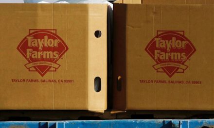 Retiran productos de Taylor Farms en EE. UU. por brote de salmonela ligado a jalapeños de Sinaloa