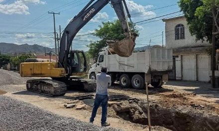 Municipio de Torreón destina acciones a la atención de servicios paritarios