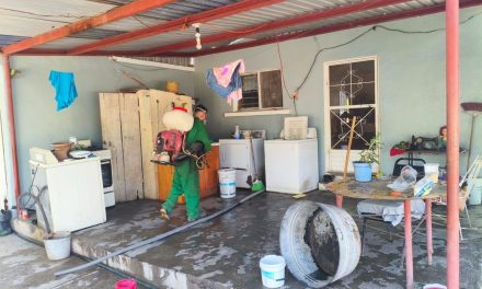 Mantienen acciones contra dengue y rickettsia en la región Carbonífera