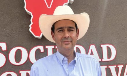Avanza el combate contra el gusano barrenador en la región