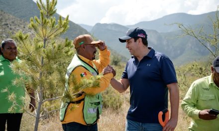 Reforestación es permanente en Saltillo: Javier Díaz