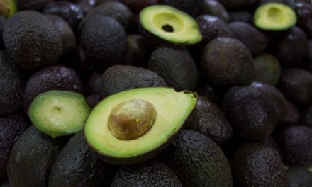 Gobierno de México hace obligatorio el Certificado Laboral VELAGRO para la exportación de aguacate