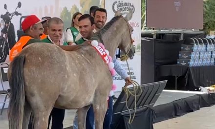 Alcalde de Torreón y senador adoptan a equinos jubilados