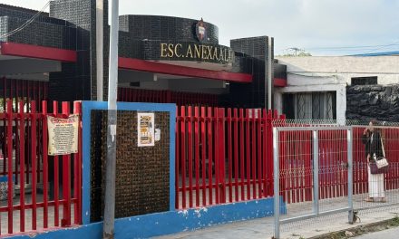 Se disculpó la madre de familia tras ‘lanzar’ a su hijo por arroba de la reja