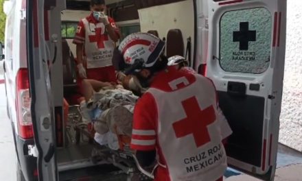Animal provoca volcadura en Parras
