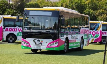 ‘Aquí Vamos Gratis’ supera expectativas a casi un Año de Operación
