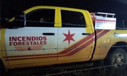 Atienden reporte por encendido de fogata en la zona forestal de El Tunal