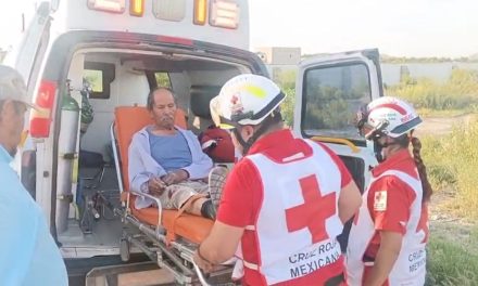 Caballos sueltos provocan accidente en Parras