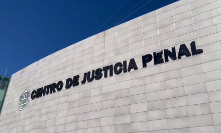 Buscan que Liliana ‘N’, mujer que arrastró y mató al perrito Rocky continúe su proceso en libertad