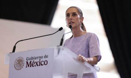 Claudia Sheinbaum exige coordinación con Estados Unidos para proteger al lobo mexicano en la frontera