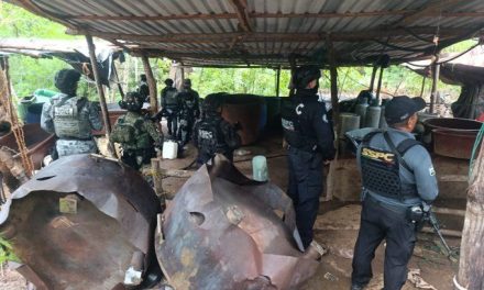 Desmantelan tres narcolaboratorios de metanfetamina en Guerrero con apoyo de inteligencia de Estados Unidos