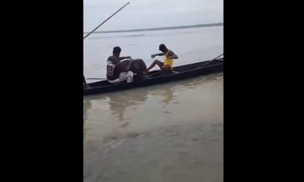 Pescadores rescatan a un bebé elefante arrastrado por la corriente de un río en la India y logran reunirlo con su madre