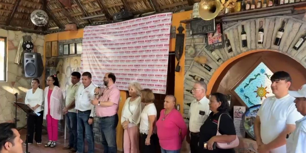 ‘Somos’ espera superar el 7 por ciento de participación ciudadana