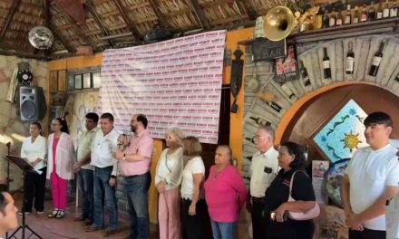 ‘Somos’ espera superar el 7 por ciento de participación ciudadana
