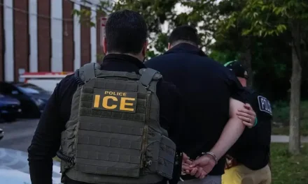 Agentes de ICE afirman que el gobierno de EE. UU. ordenó frenar las deportaciones masivas para frenar el desplome electoral