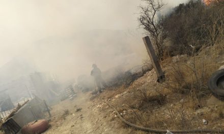 Registra Arteaga 75 conatos de incendios forestales