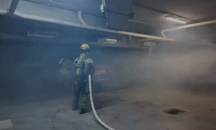 Se incendia automóvil en Parque Centro