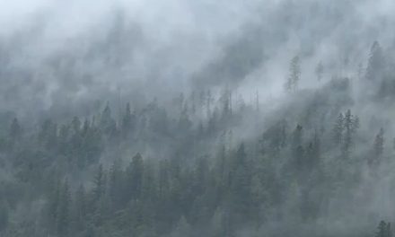 Equipan albergues en Coahuila ante pronóstico de invierno severo