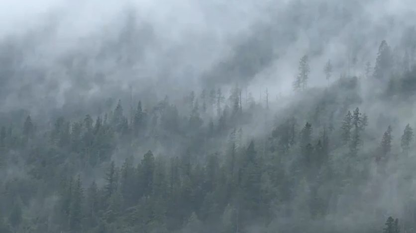 Equipan albergues en Coahuila ante pronóstico de invierno severo