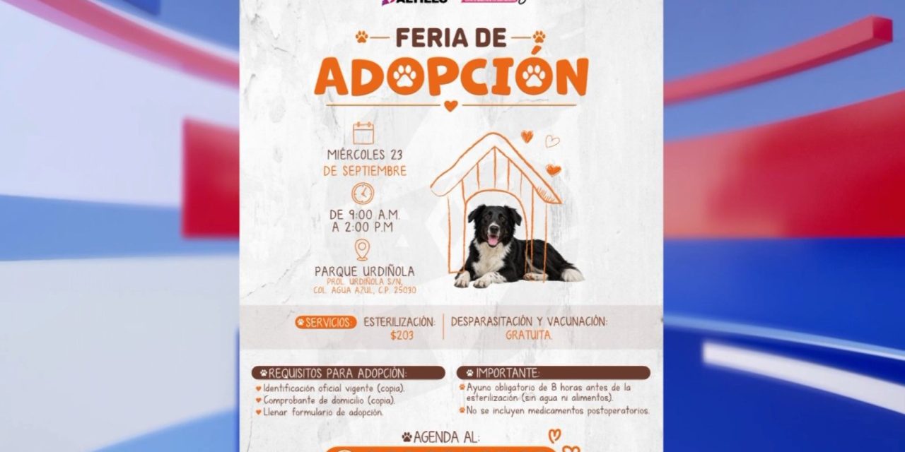 Invita Municipio a darles un hogar a los perritos