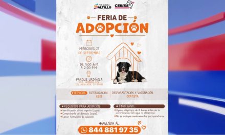 Invita Municipio a darles un hogar a los perritos