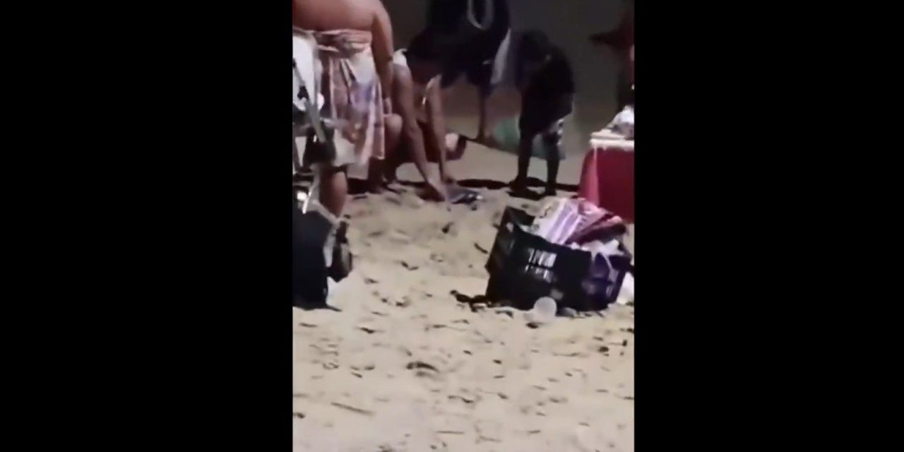 Entierran en la arena a mantarrayas en playas de Huatulco