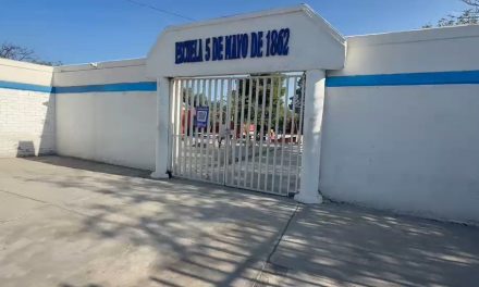 Saltillo: Reportan plaga de garrapatas y ratas en la escuela 5 de mayo en la colonia Asturias