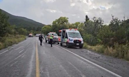 Presunto cerrón manda a tráiler contra talud en carretera a Los Lirios