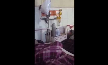 Indignación internacional por plaga de ratas dentro de un hospital en la India enciende alarmas sanitarias