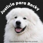 'Rocky' espera que se haga justicia; mientras espera en el SEMEFO tras su muerte