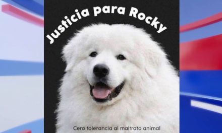 ‘Rocky’ espera que se haga justicia; mientras espera en el SEMEFO tras su muerte
