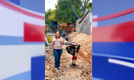 Supervisan pavimentación en Los Lirios
