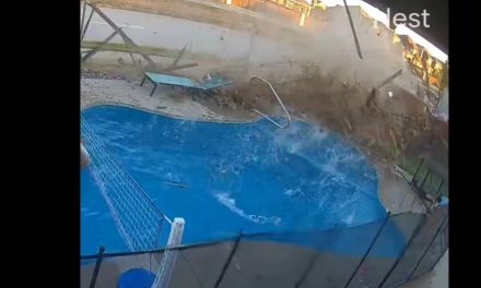 Conductor atraviesa valla y se estrella en patio de vivienda con niños en Texas