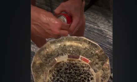 ¿Refresco o tequila? Toluca convierte el trofeo en vaso durante el festejo